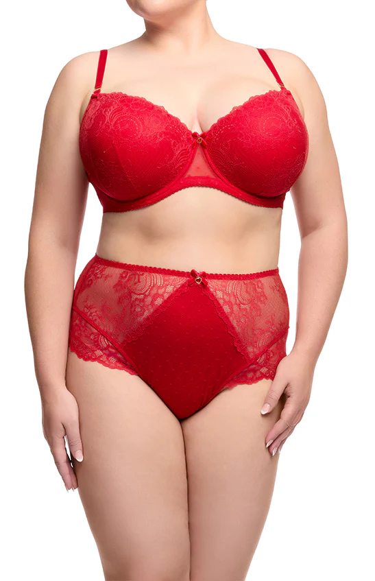 Fiamma High Waist Brief - Rose Red - Image 3