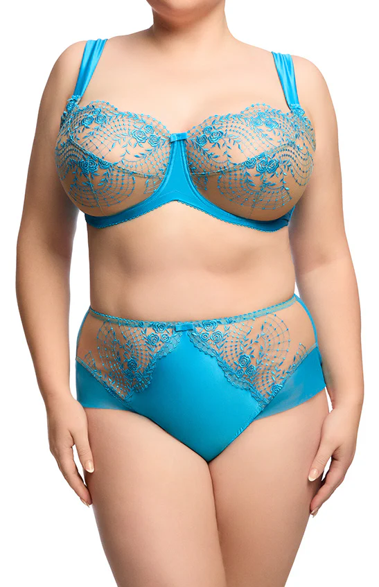 Julie's Roses High Waist Brief- Butterfly Blue - Image 3