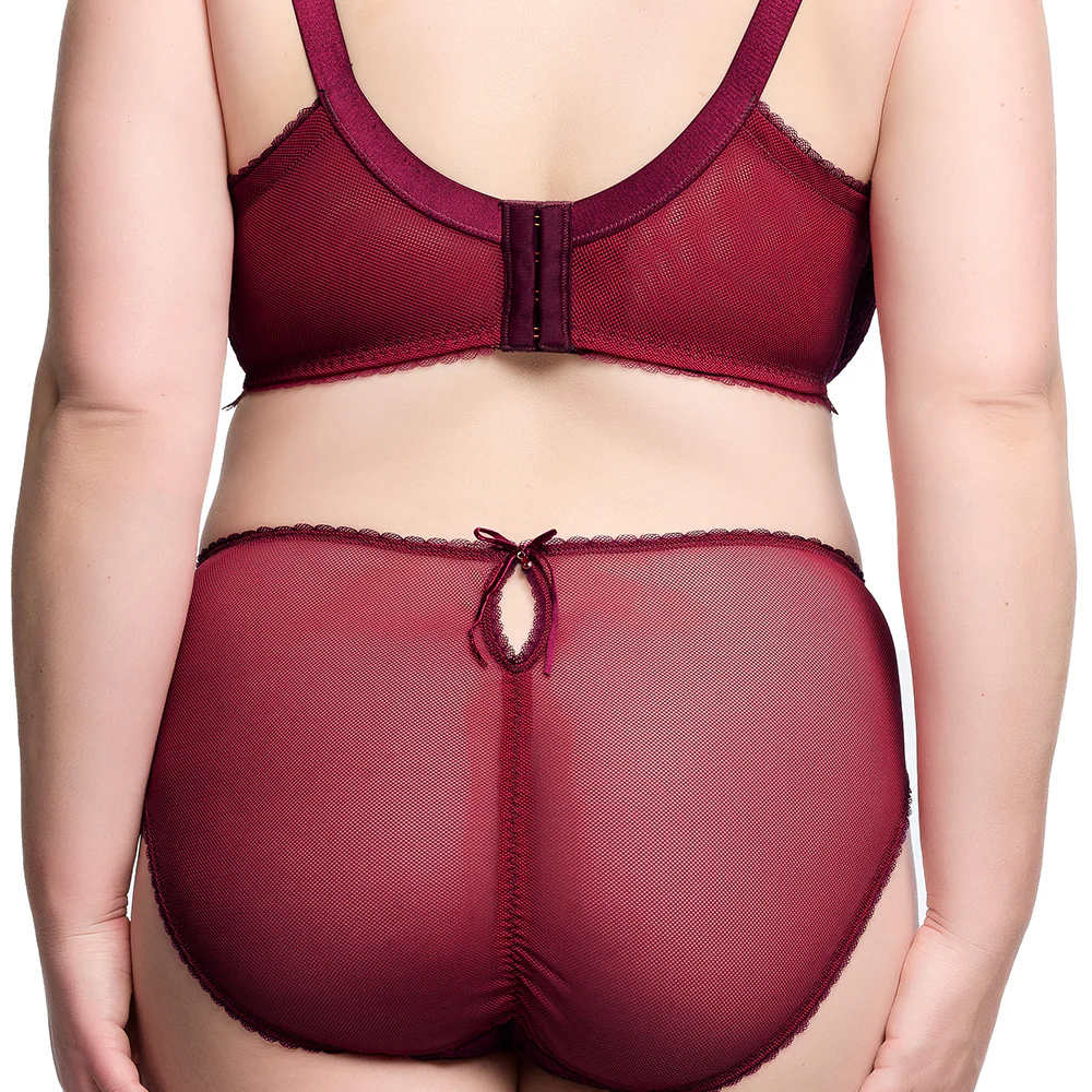 Zsa Zsa Hi Cut Brief - Mulberry - Image 2